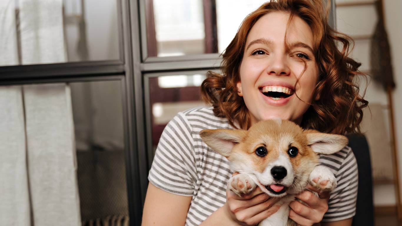 tridente-collection-pet-friendly